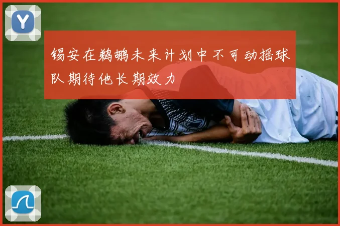 锡安在鹈鹕未来计划中不可动摇球队期待他长期效力